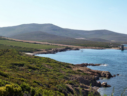 Isole di Finocchiarola