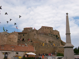 Giglio Castello