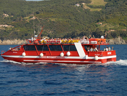 Nautilus