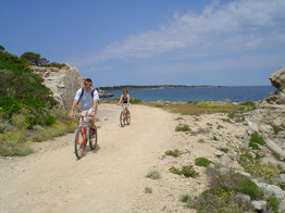 Pianosa in Mountain bike