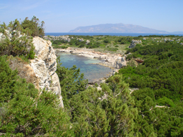 Porto Romano a Pianosa