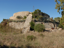 Torre cardon